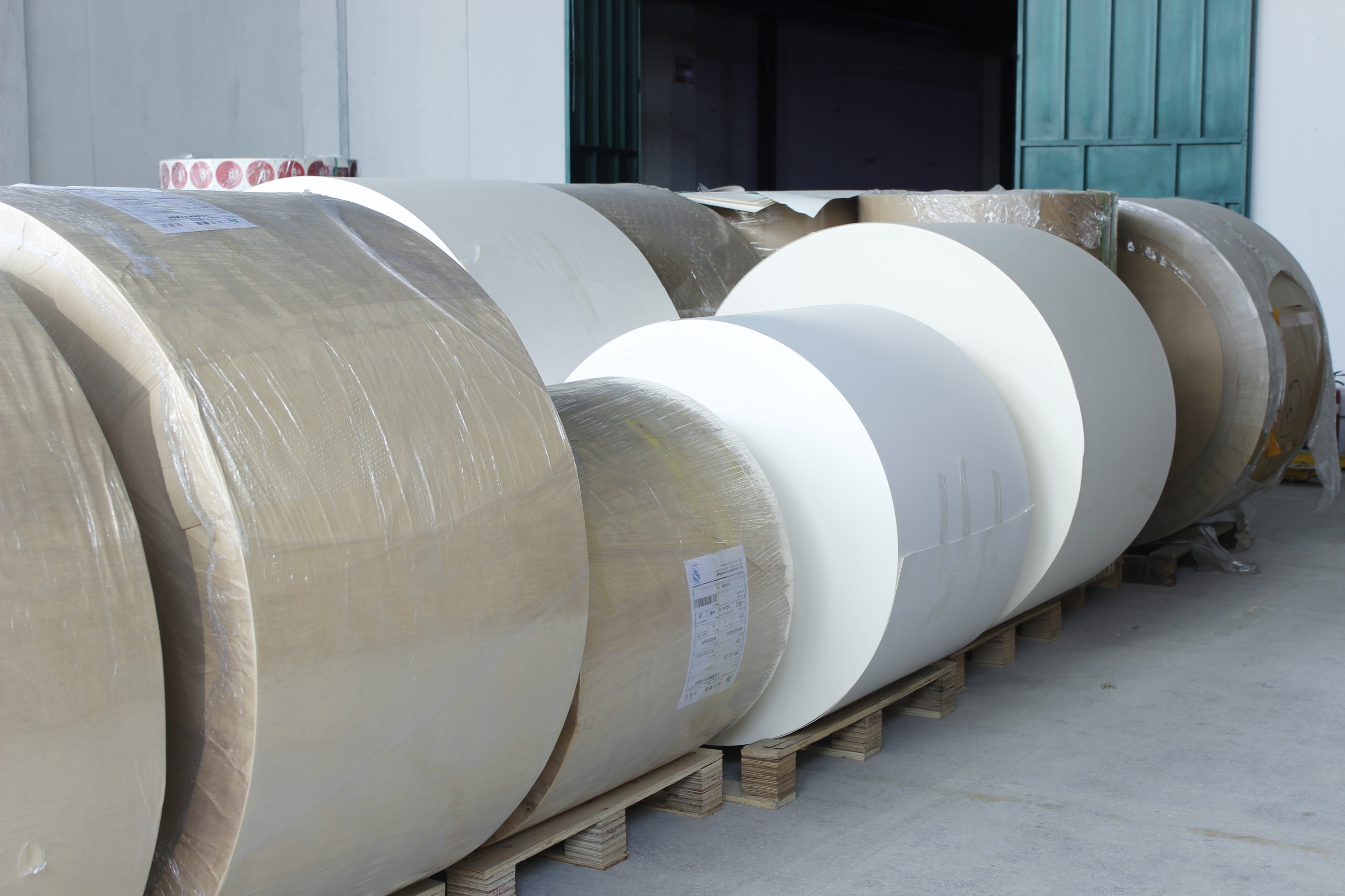 ประเทศจีน Guangzhou Victory Paper Products Co., Ltd. รายละเอียด บริษัท